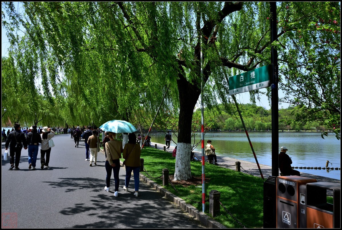 到此一游----杭州西湖随拍