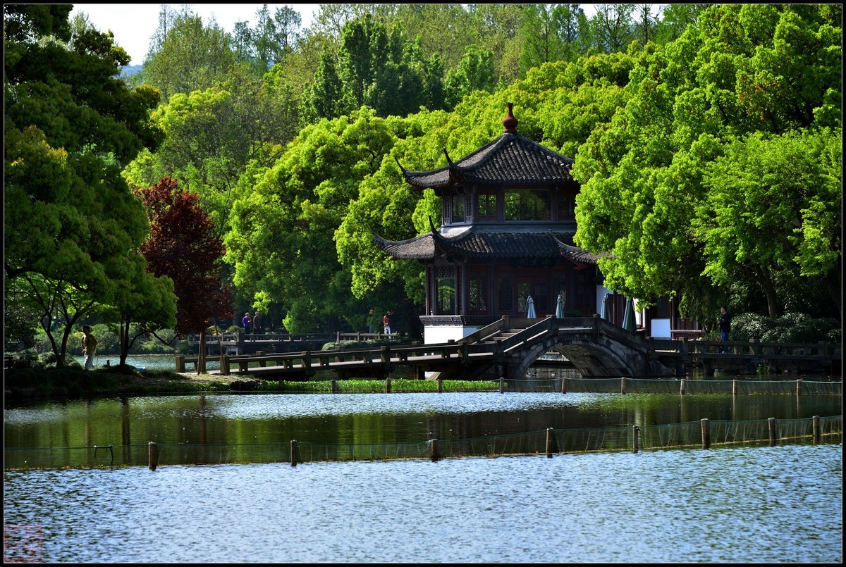 到此一游----杭州西湖随拍