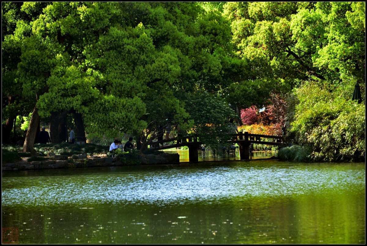 到此一游----杭州西湖随拍