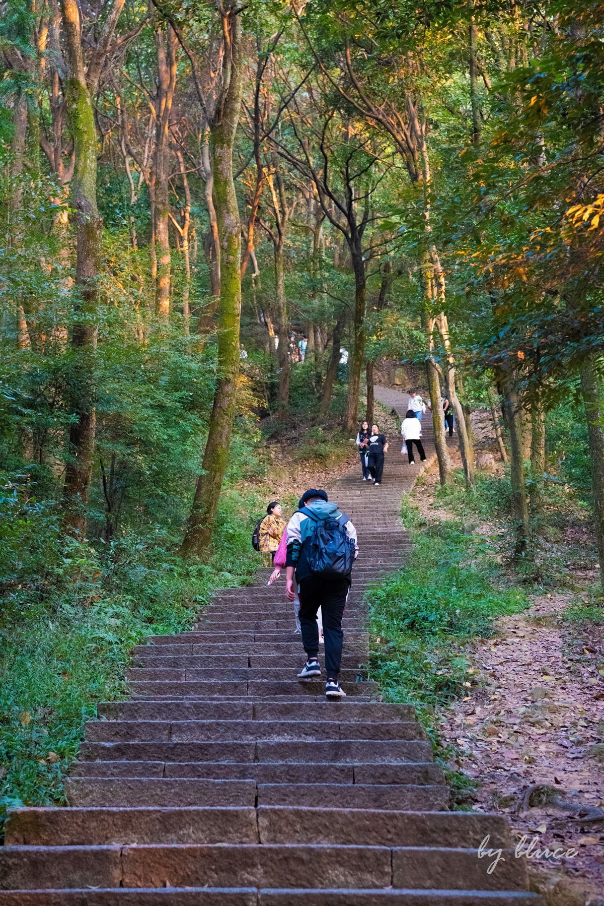 西湖————云栖竹径