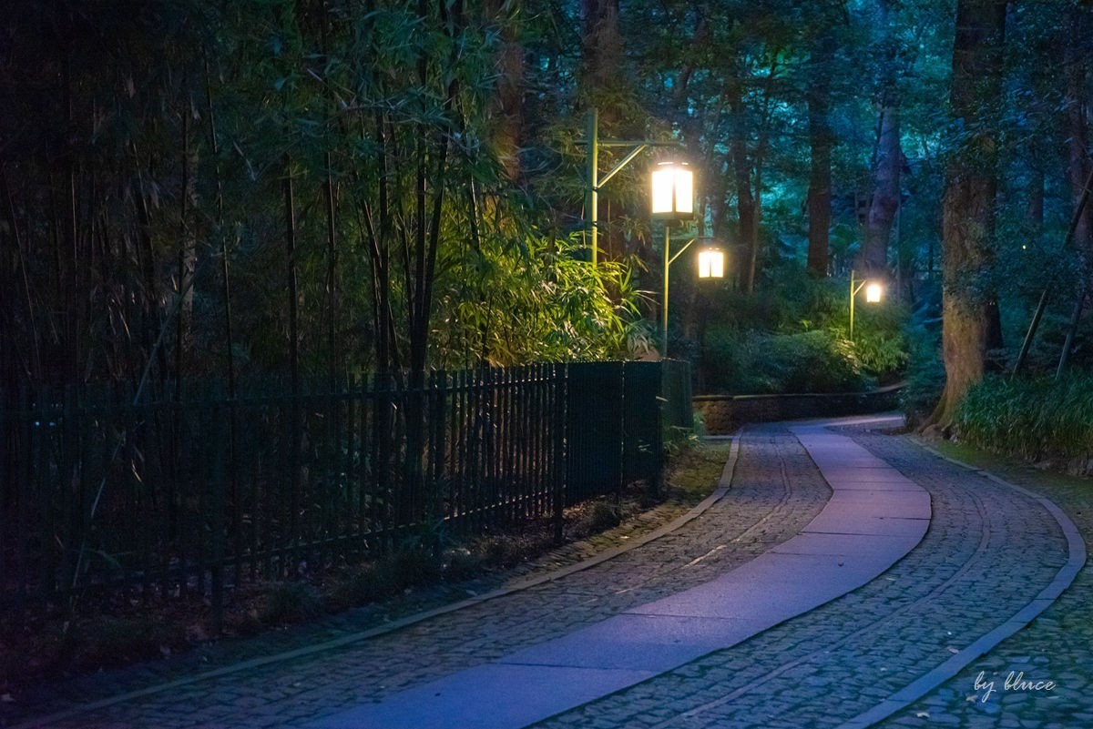 西湖————云栖竹径