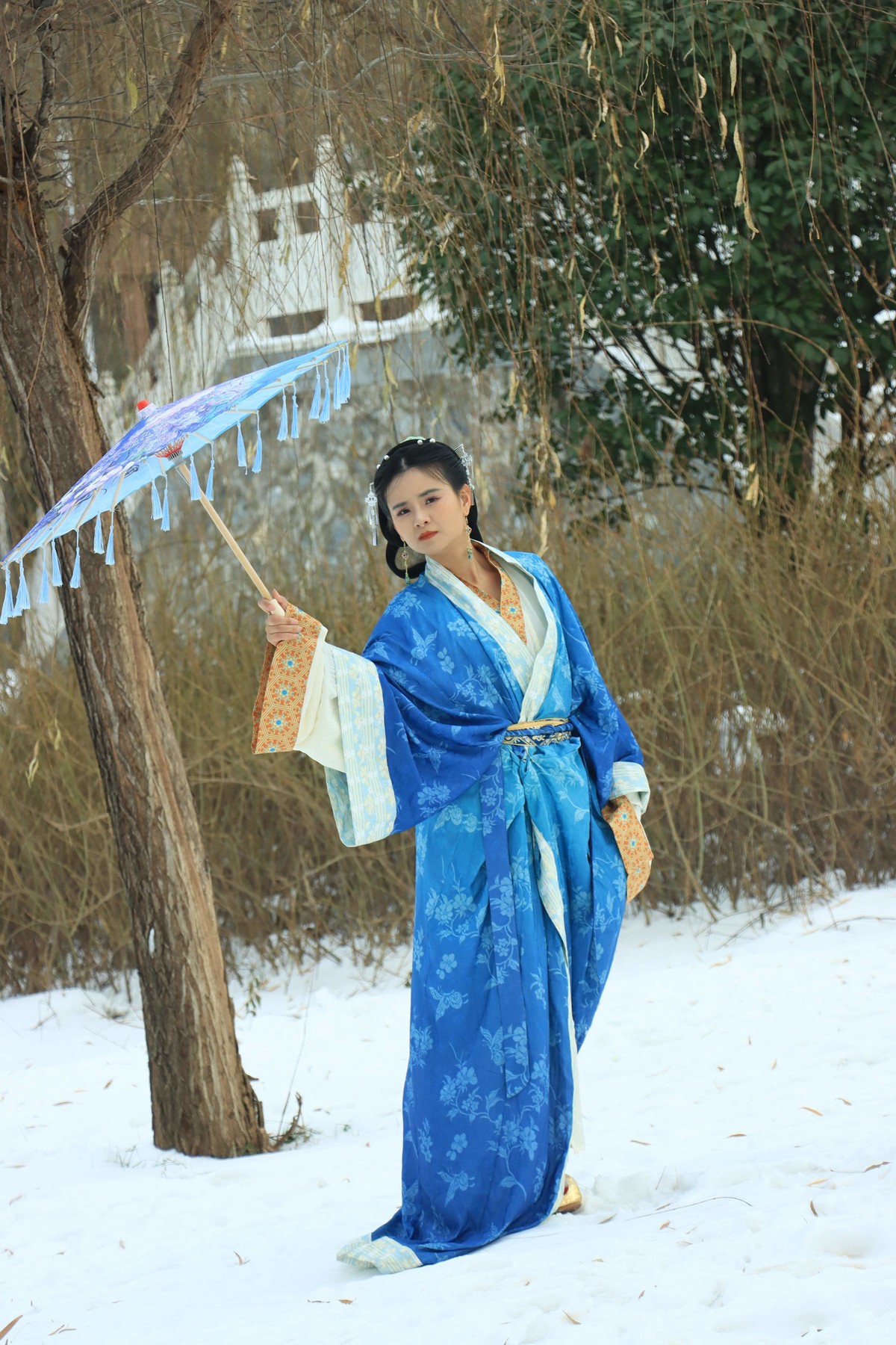 人像 - 54 (王菲 2）