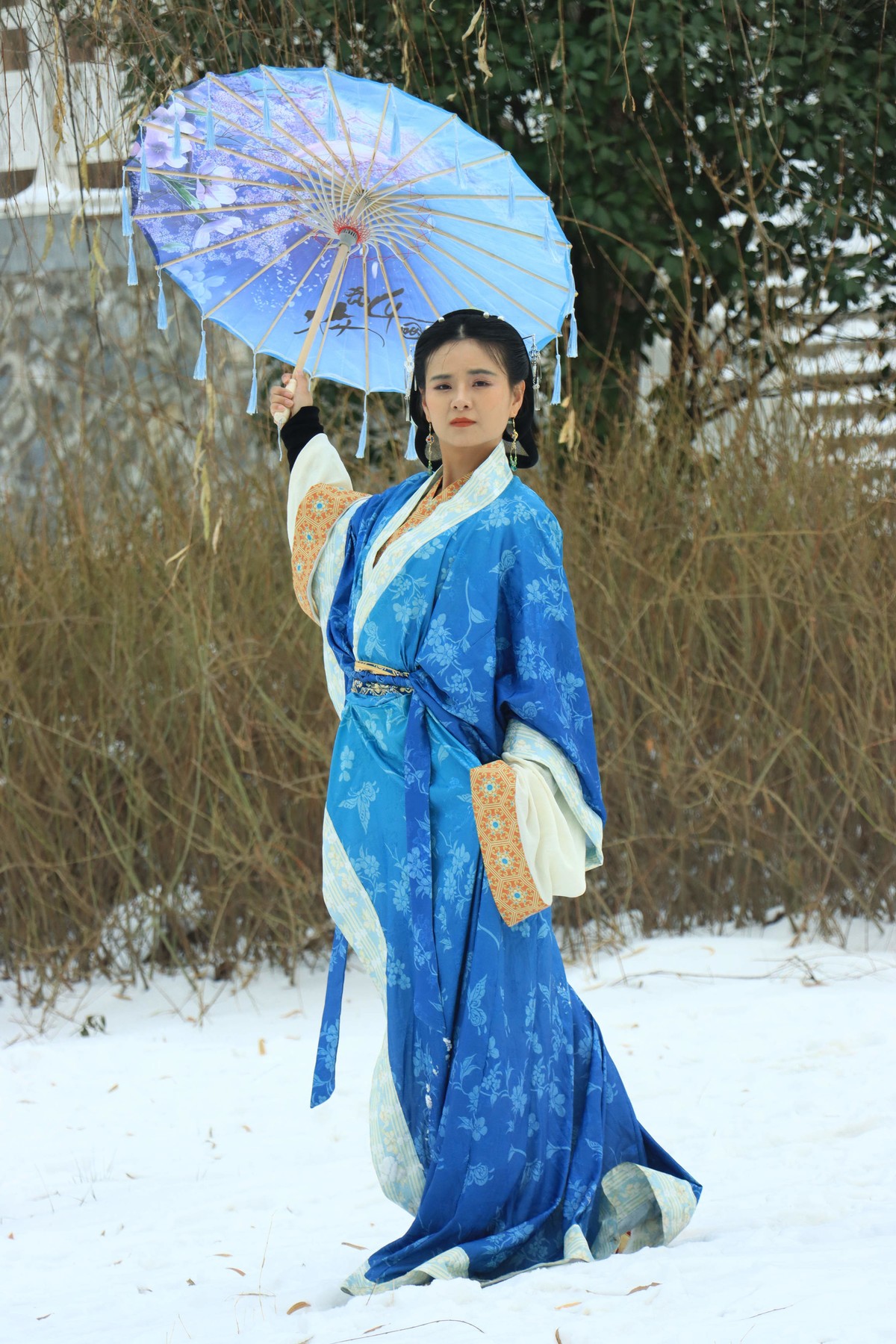 人像 - 54 (王菲 2）