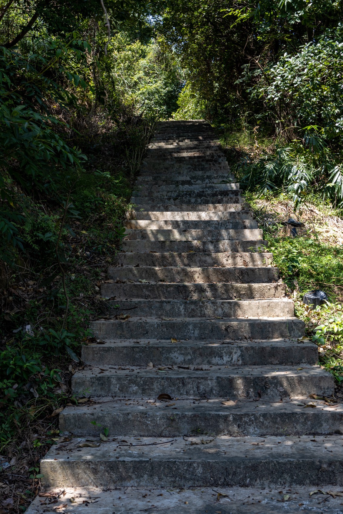 大岭古村（二十四）