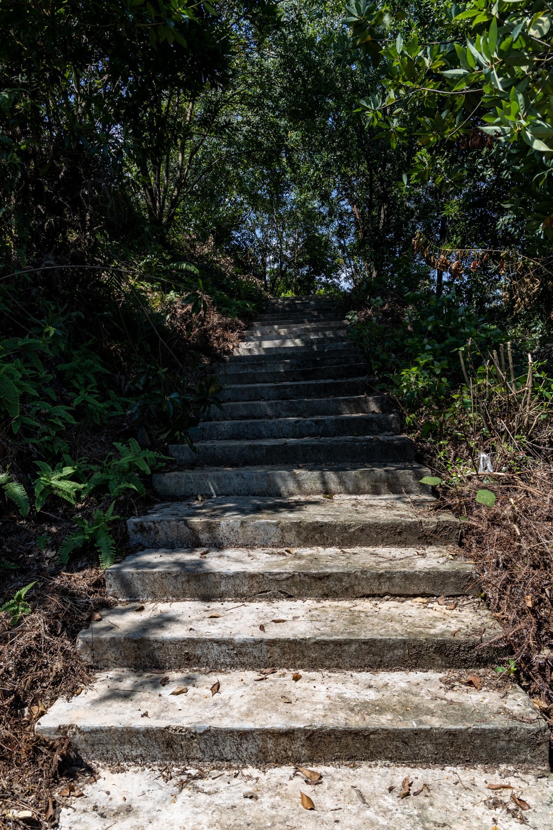 大岭古村（二十四）