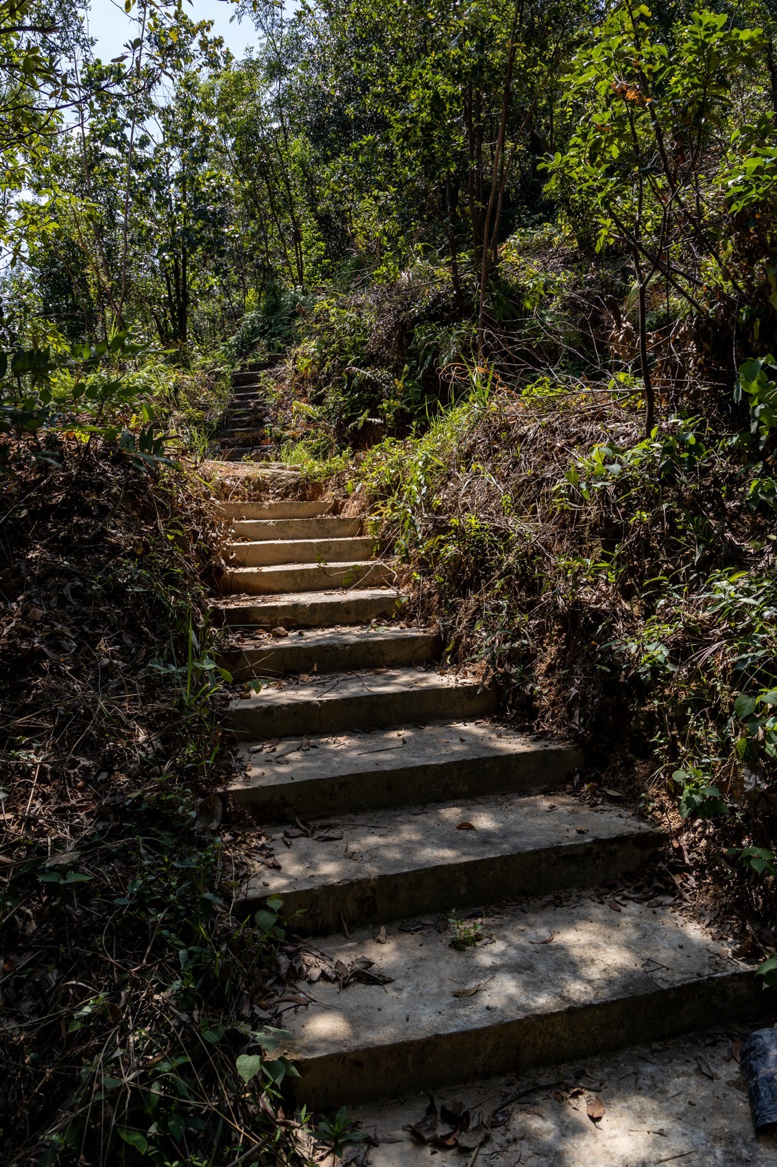 大岭古村（二十四）