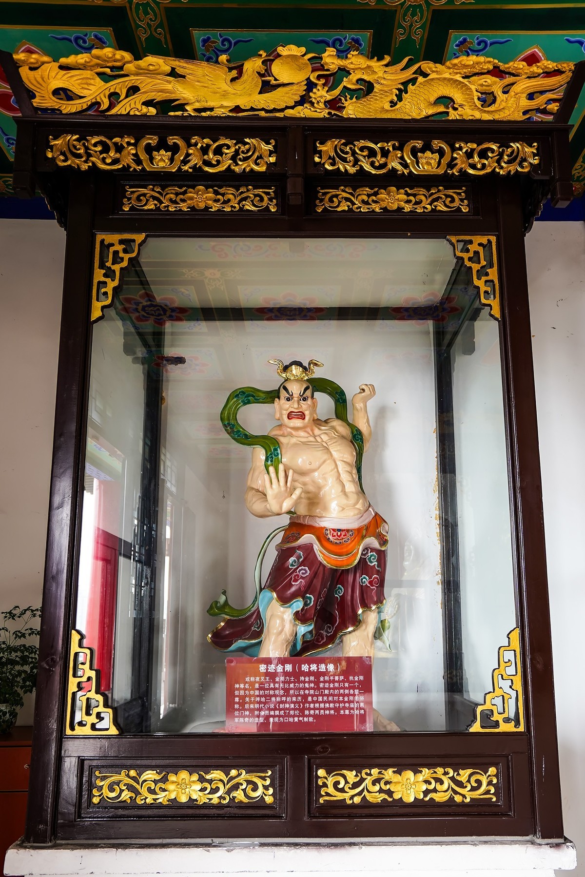 闹市中的龙头寺庙-4