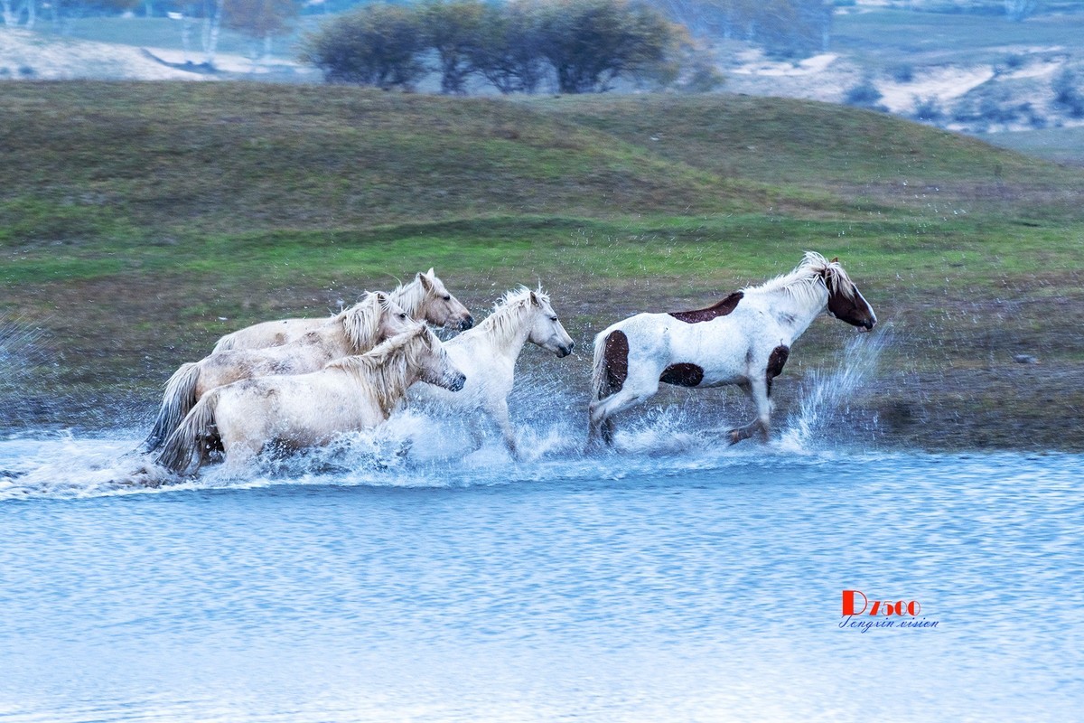慢门 飞马踏水（1）