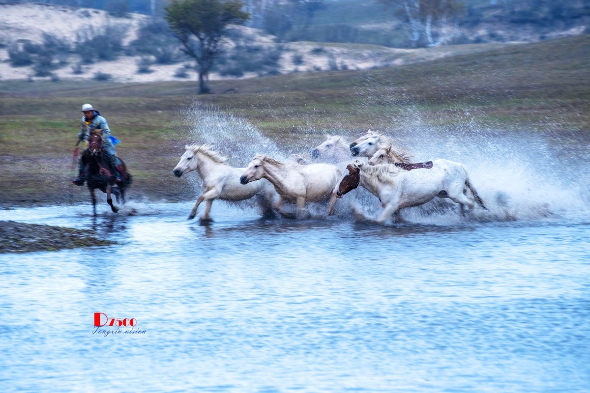 慢门 飞马踏水（1）