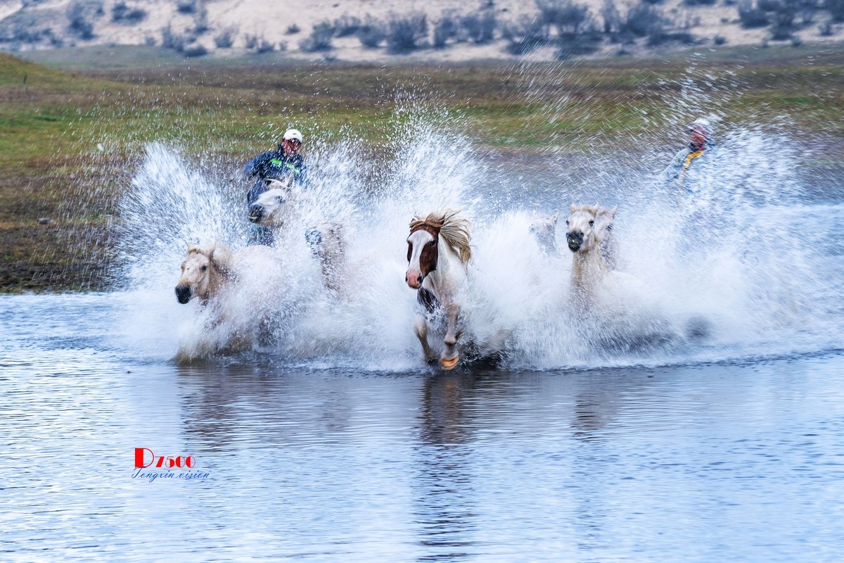 慢门 飞马踏水（1）