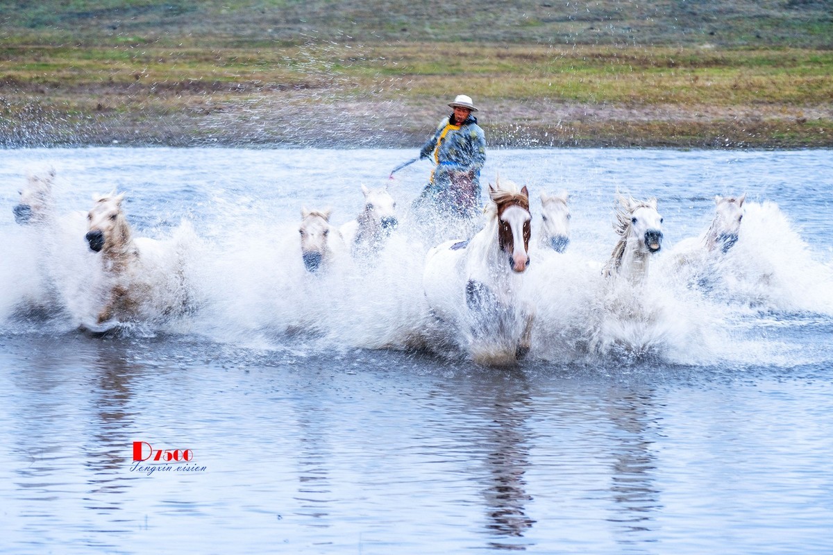 慢门 飞马踏水（1）