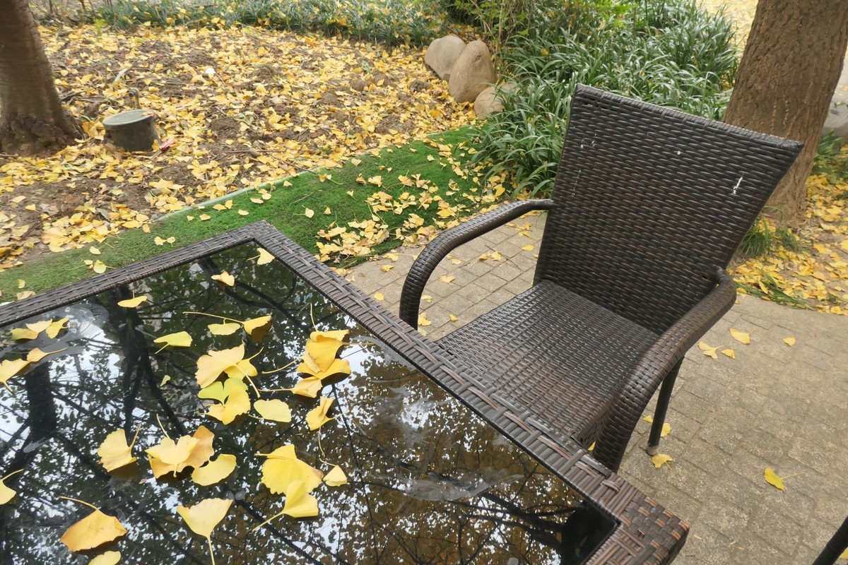 【金色的秋天】