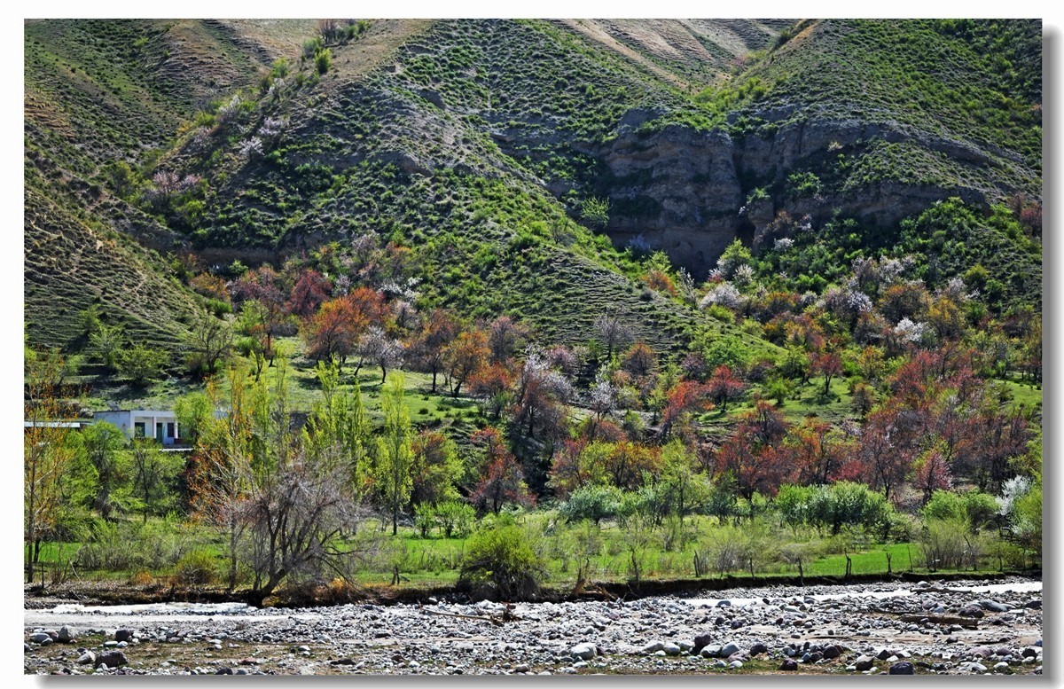 新疆映像--福寿山（二十三）
