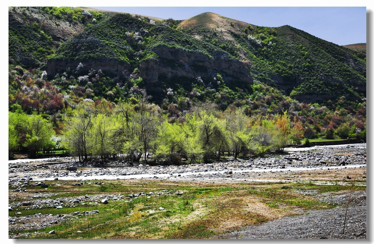 新疆映像--福寿山（二十三）
