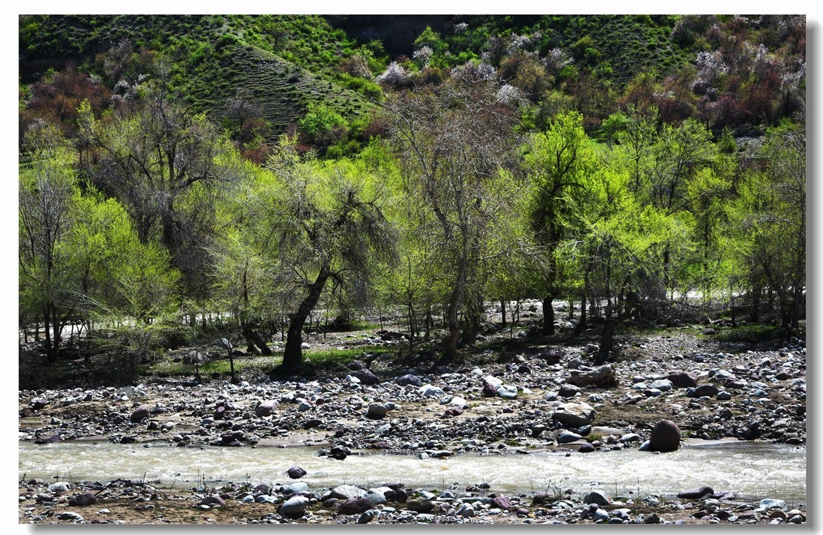 新疆映像--福寿山（二十三）