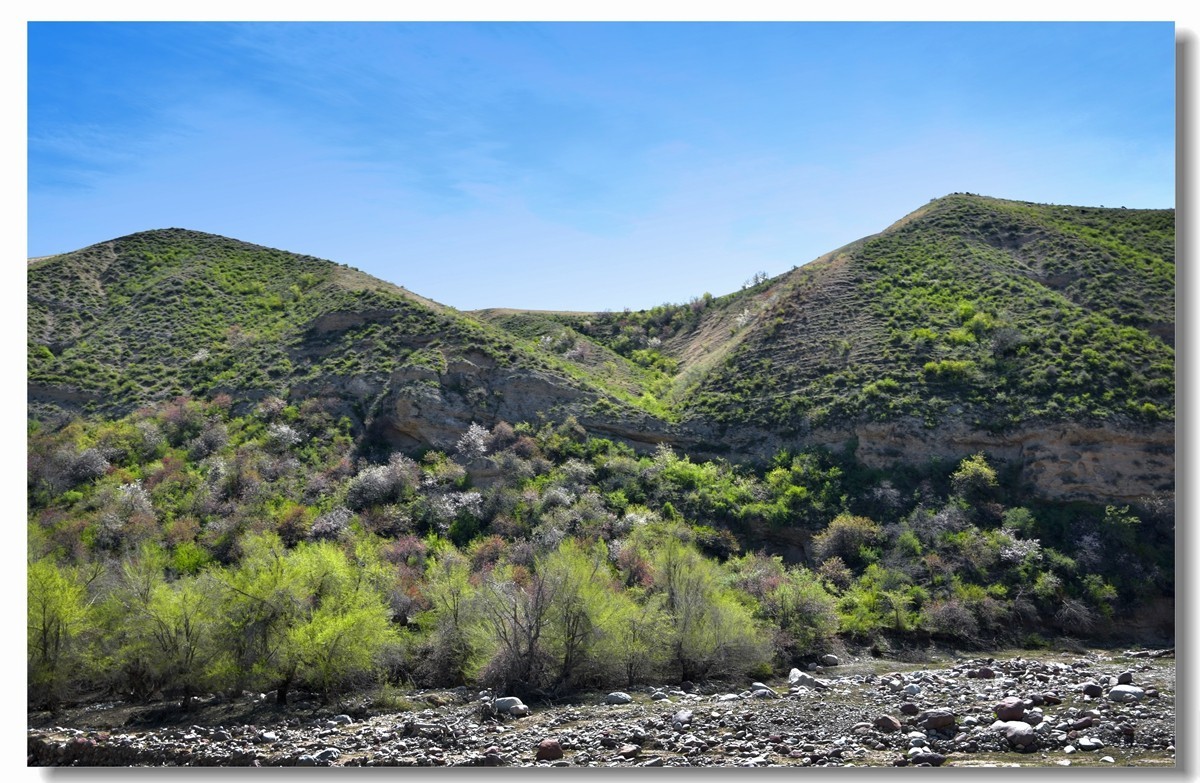 新疆映像--福寿山（二十三）