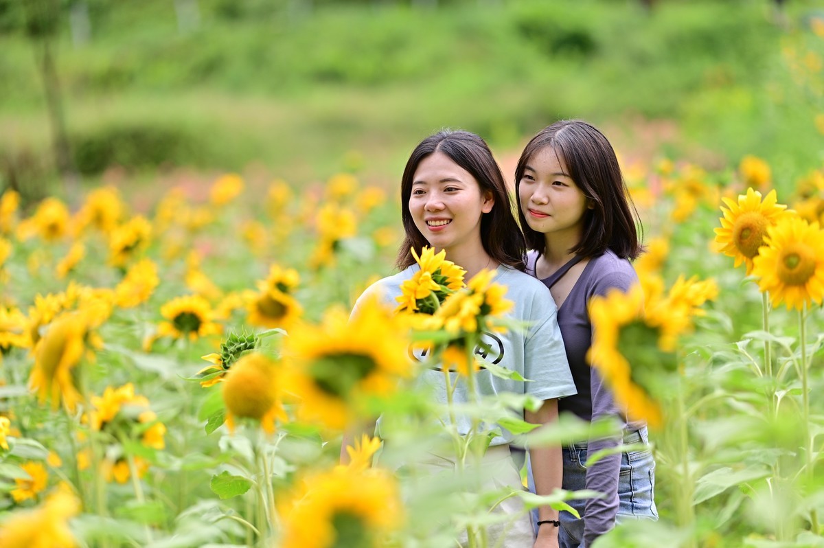 追逐阳光的季节