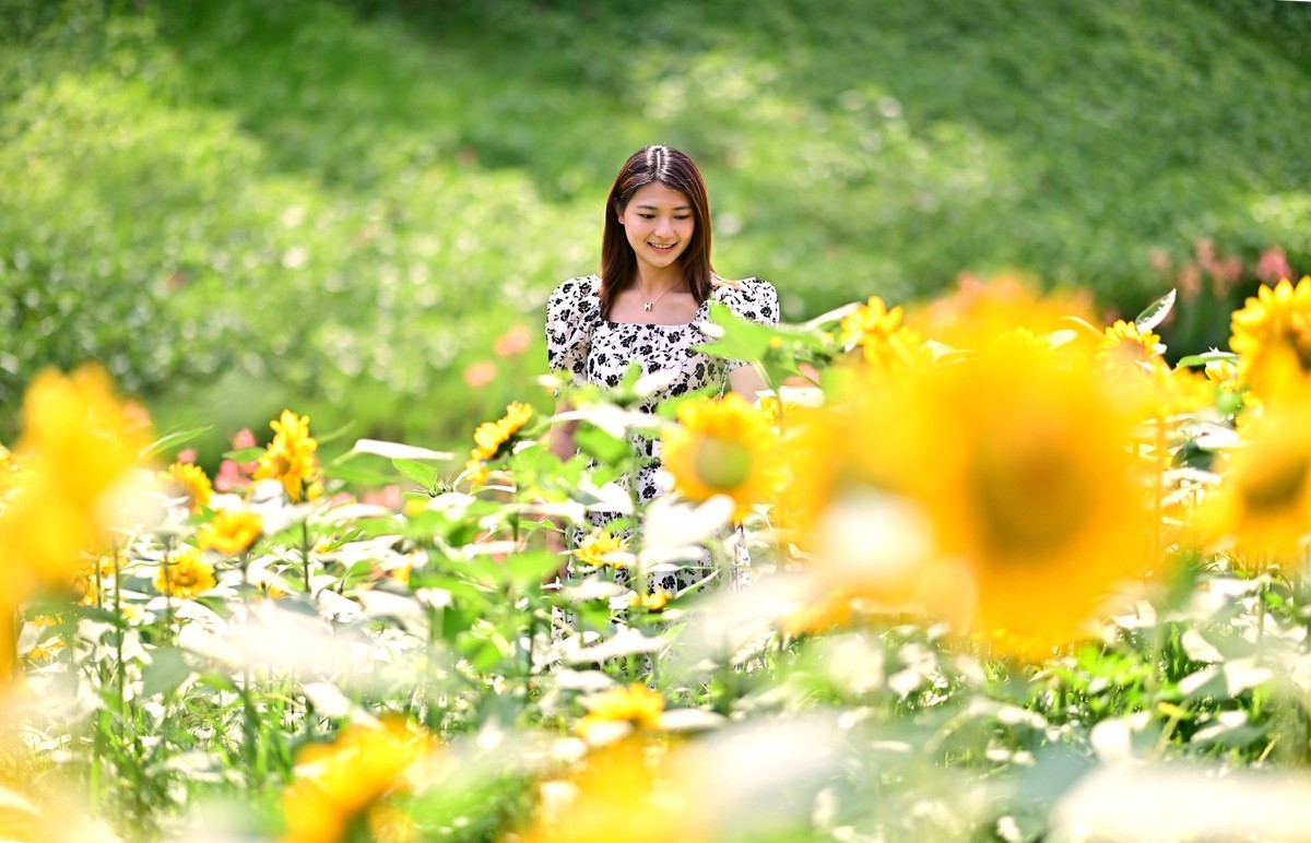 追逐阳光的季节