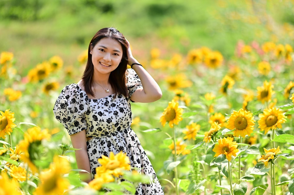 追逐阳光的季节