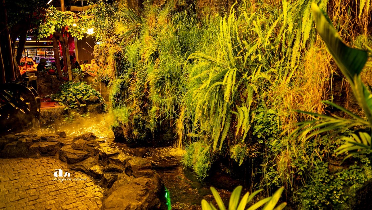 大连中央大道的空中花园（3）