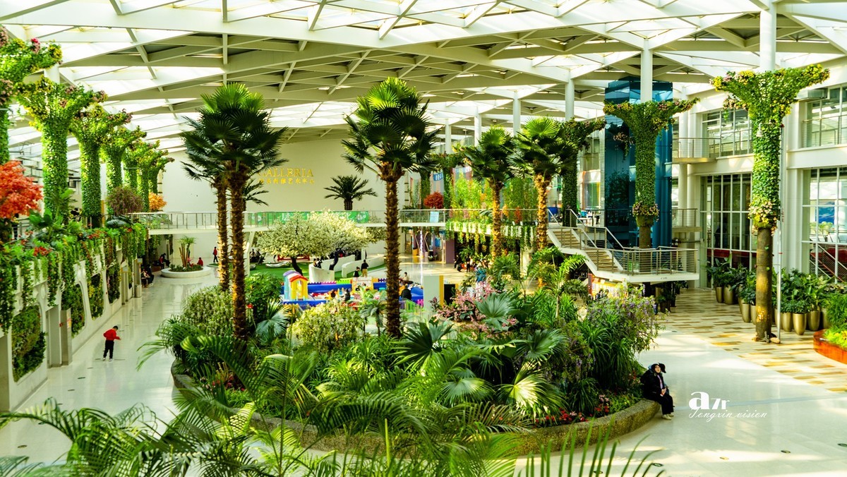 大连中央大道的空中花园（3）