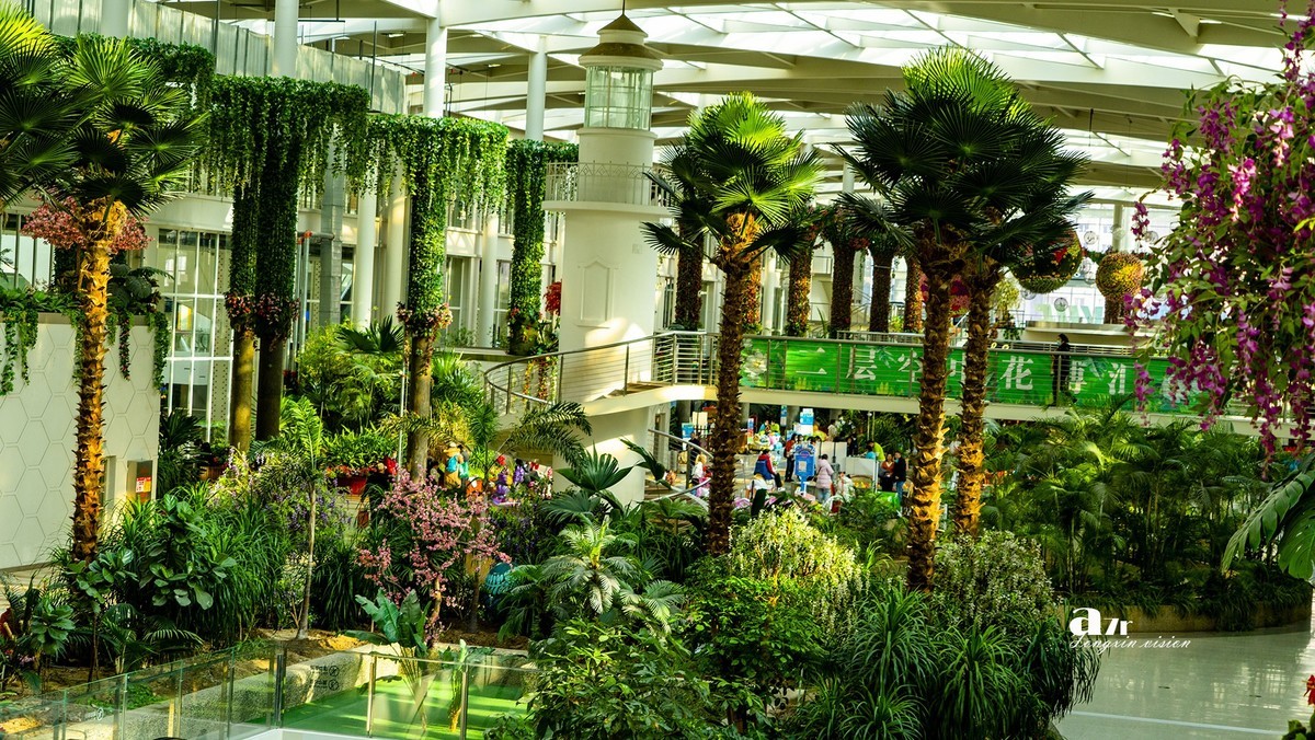 大连中央大道的空中花园（3）