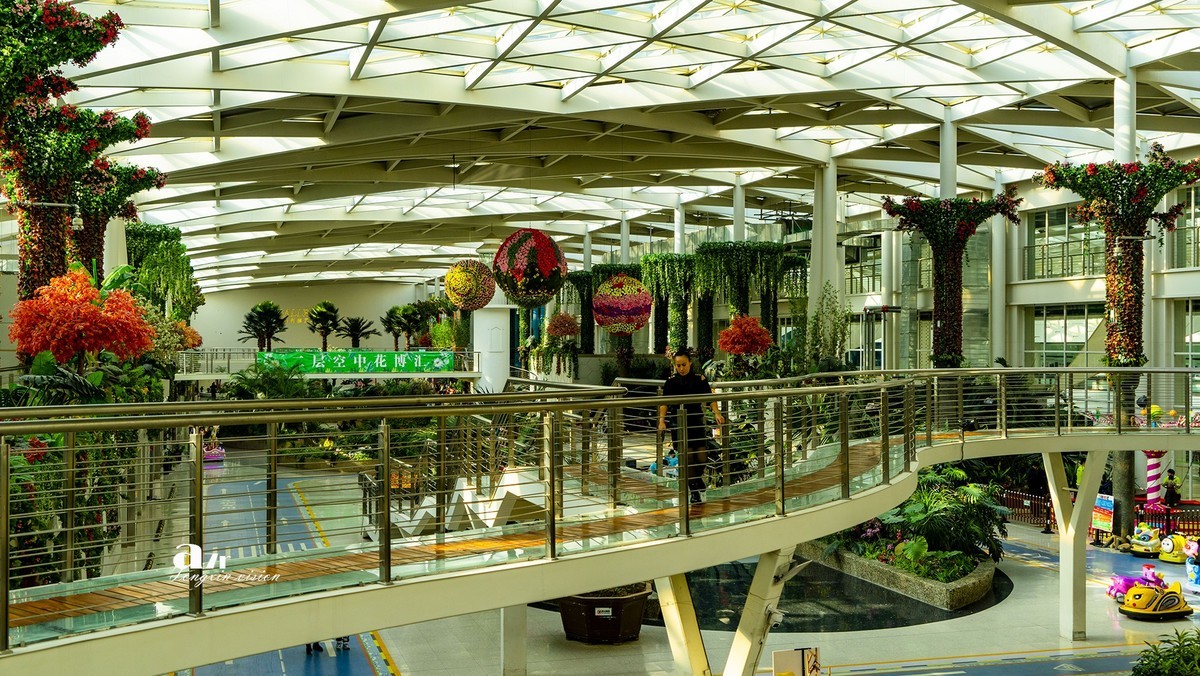 大连中央大道的空中花园（3）