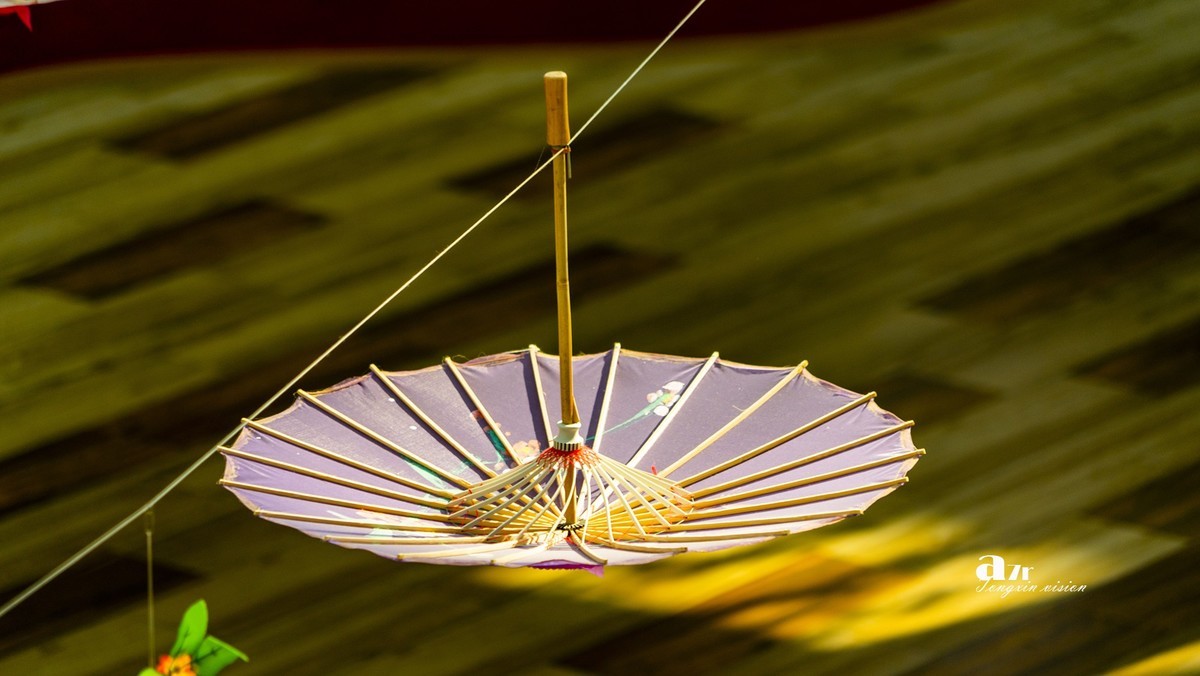 大连中央大道的空中花园（3）