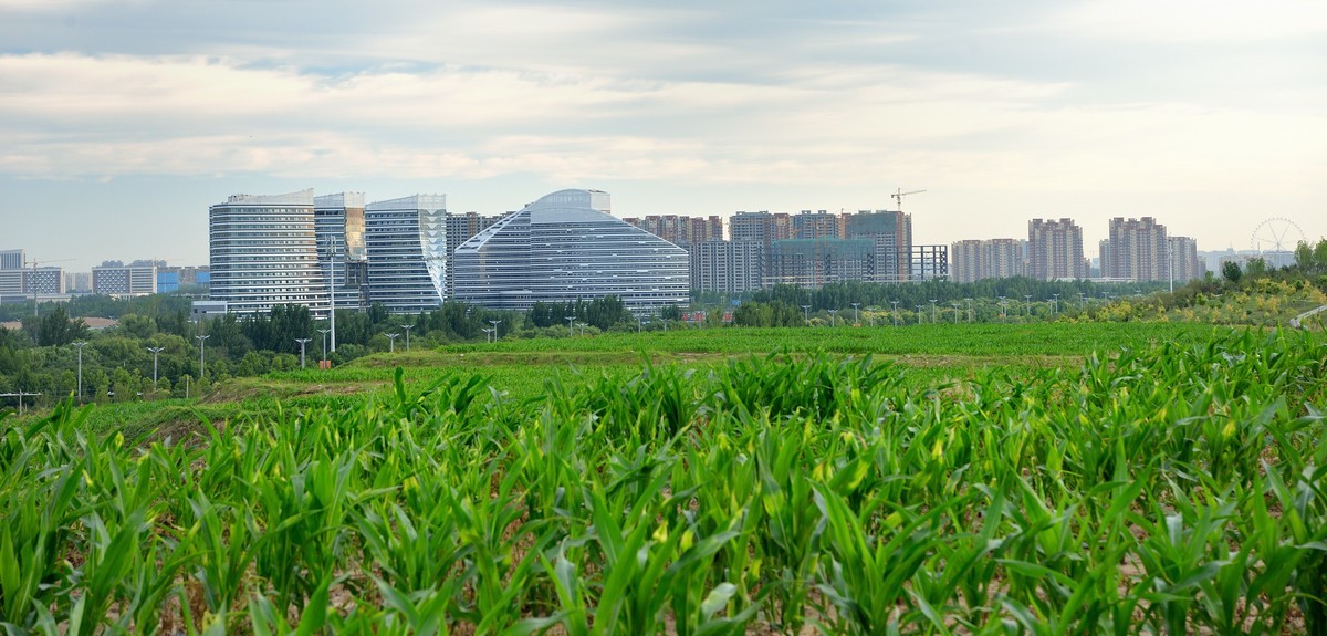 江北水城-望岳湖