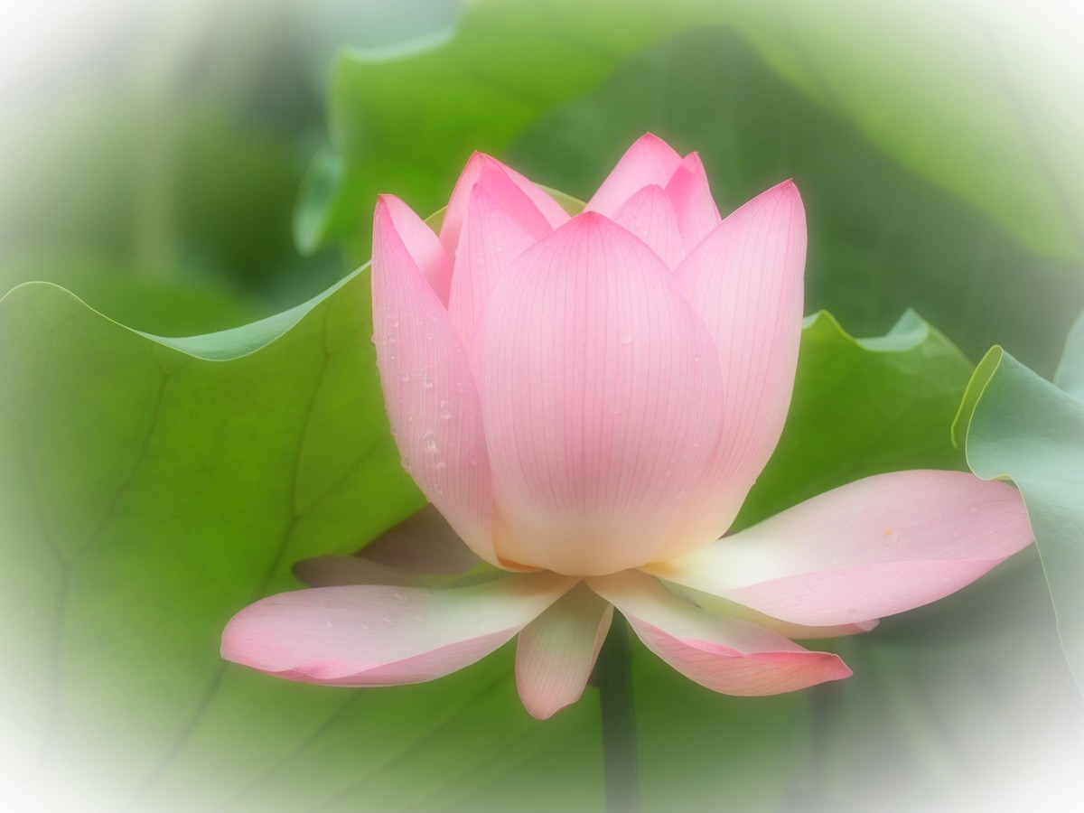 相机自带滤镜效果