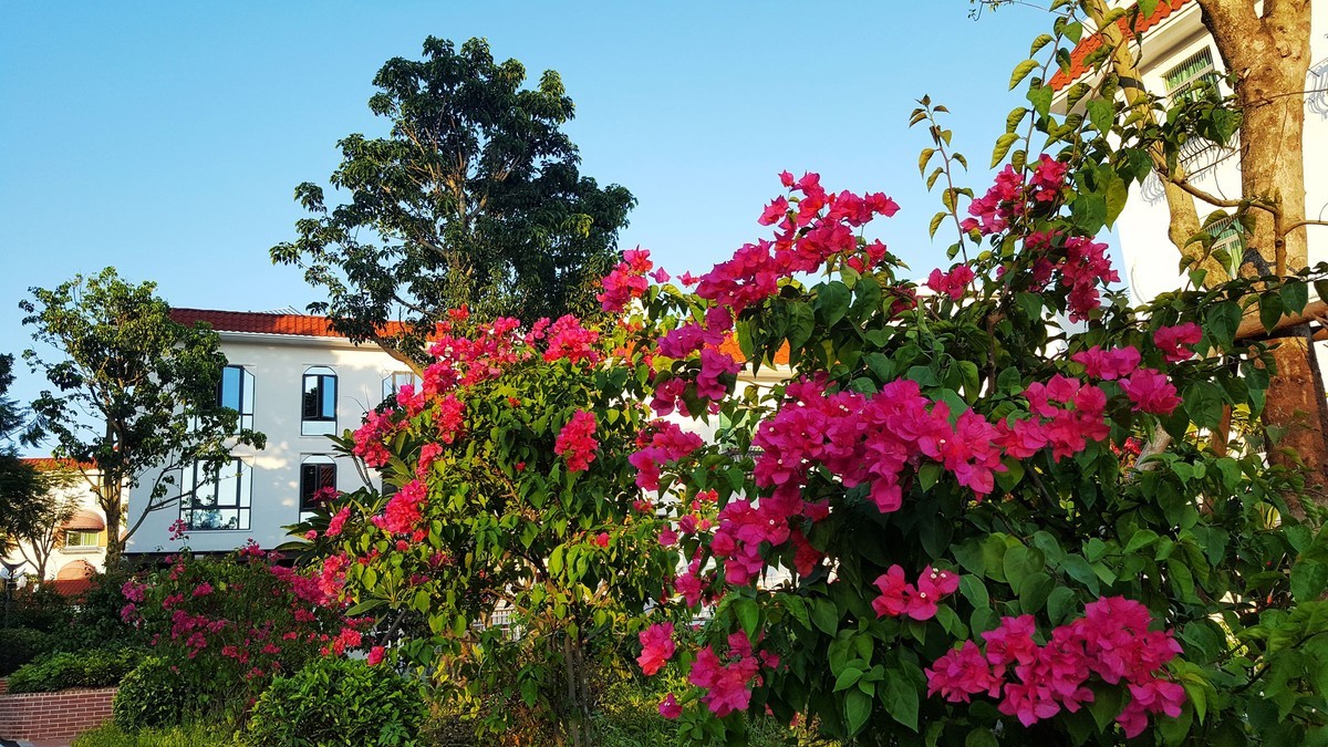 记忆中美丽的厦门手机随拍（那时候的遥遥领先最多跟星空体育平台打个平手）