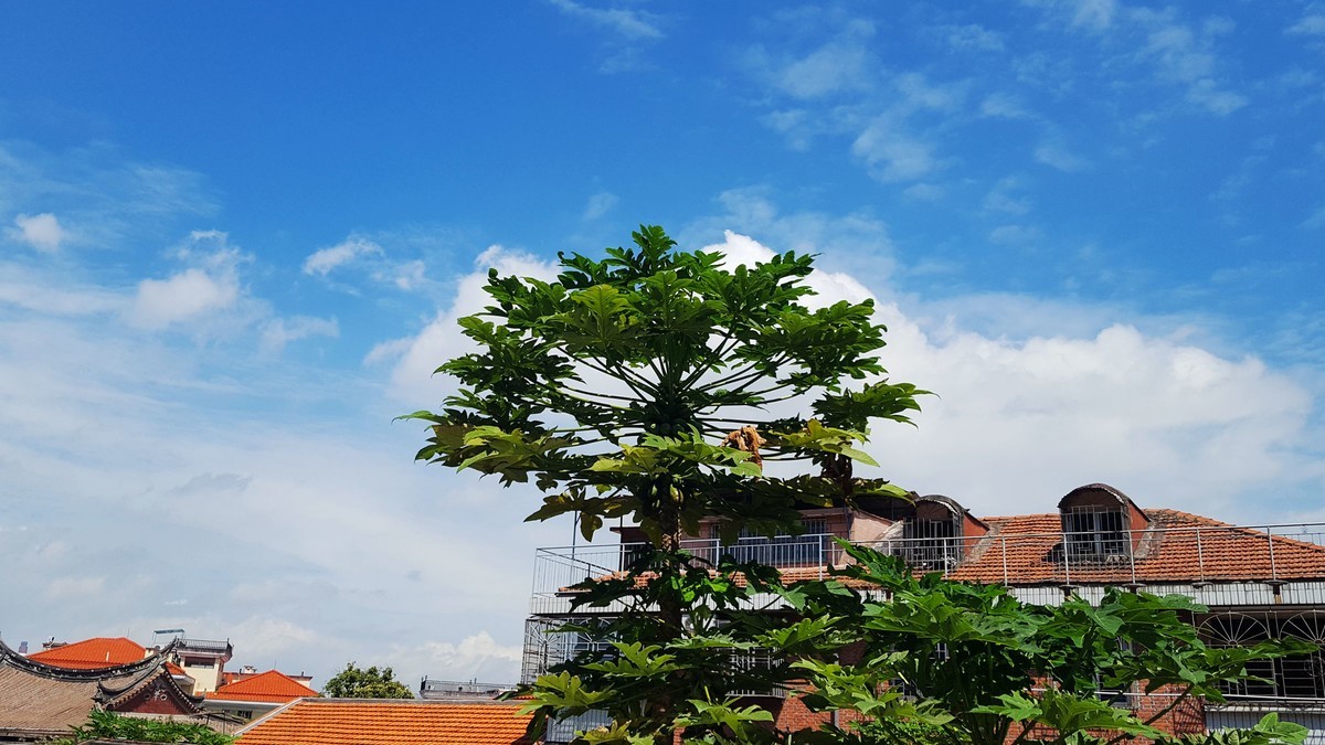 记忆中美丽的厦门手机随拍（那时候的遥遥领先最多跟星空体育平台打个平手）