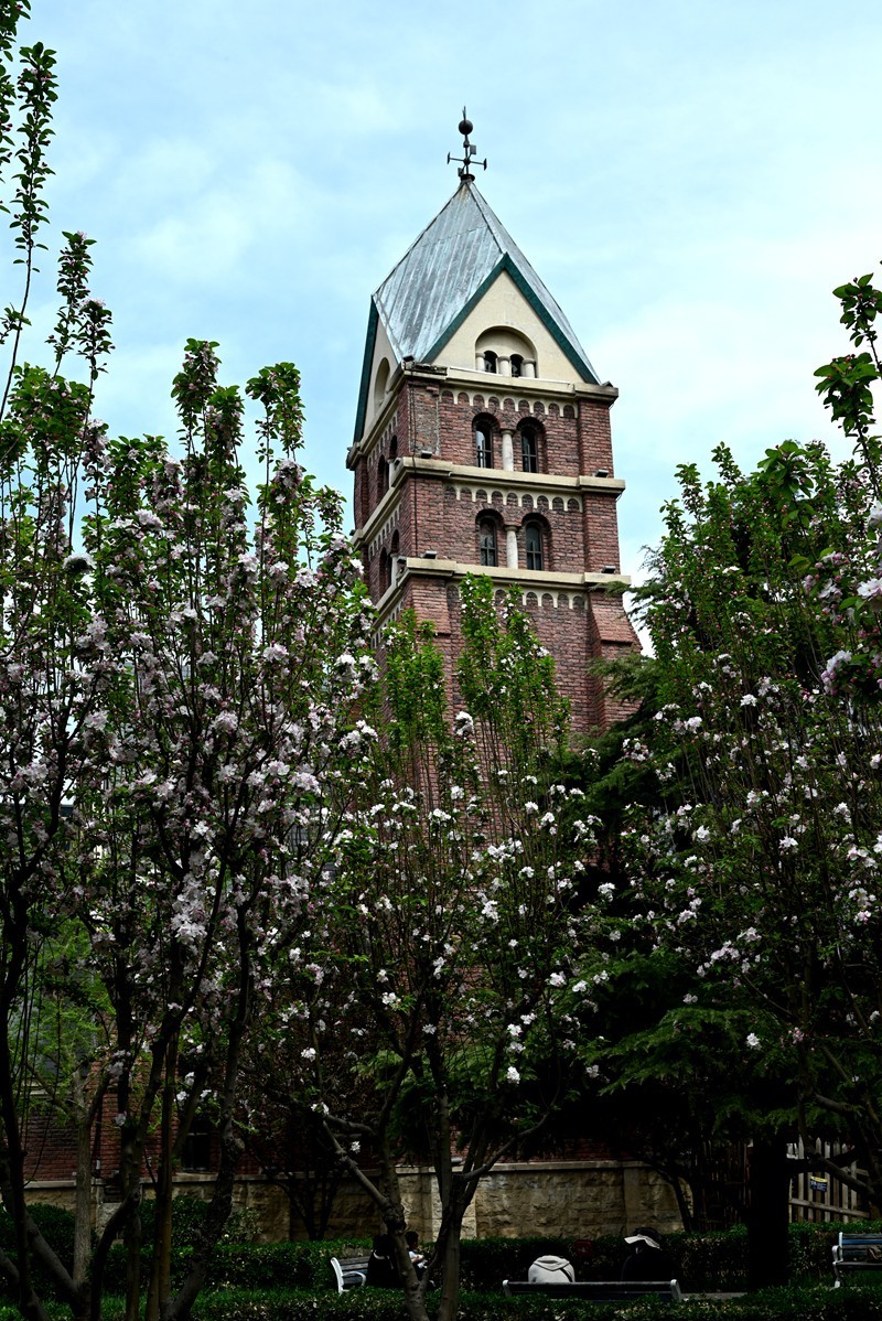 海棠时节的教堂---------------向家乡的朋友们问好