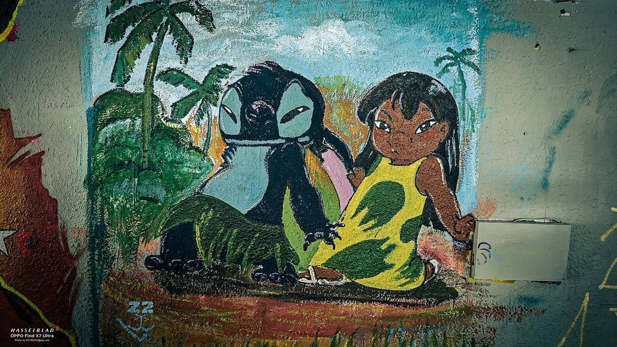 2024-06-23 李公楼涂鸦