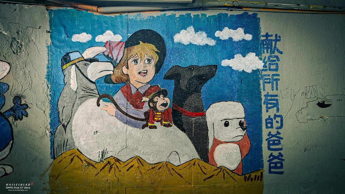 2024-06-23 李公楼涂鸦