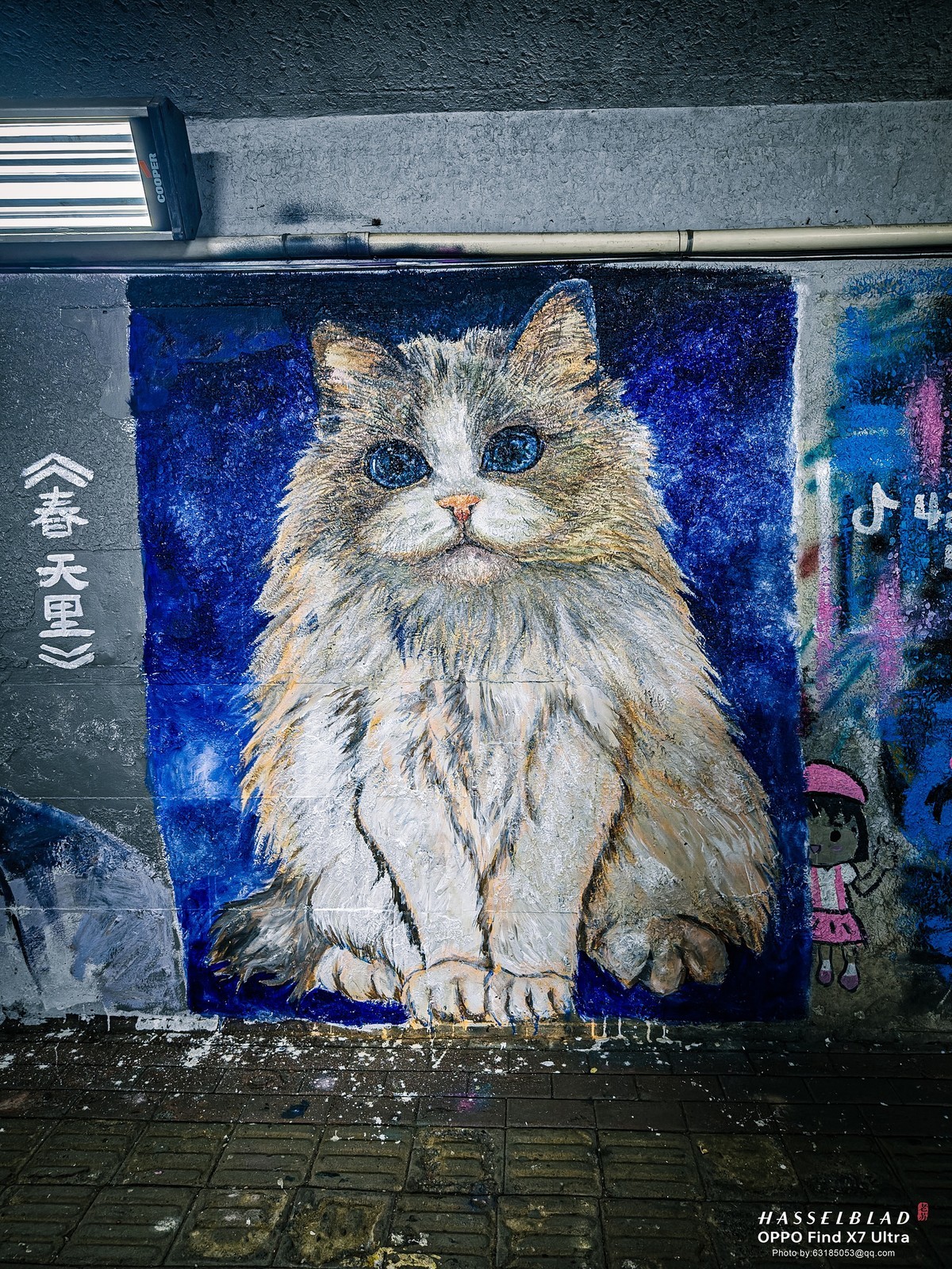 2024-06-23 李公楼涂鸦