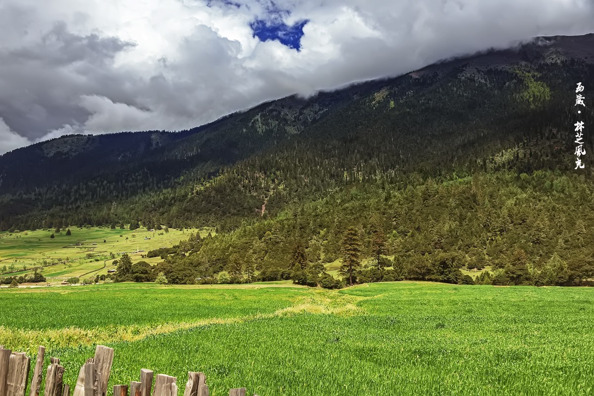 国道三一八 · 林芝尼洋曲畔