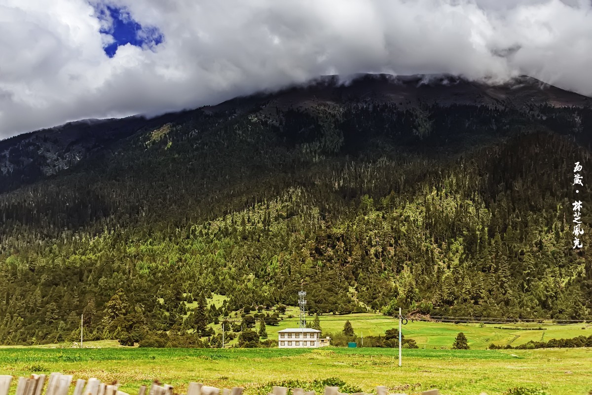 国道三一八 · 林芝尼洋曲畔