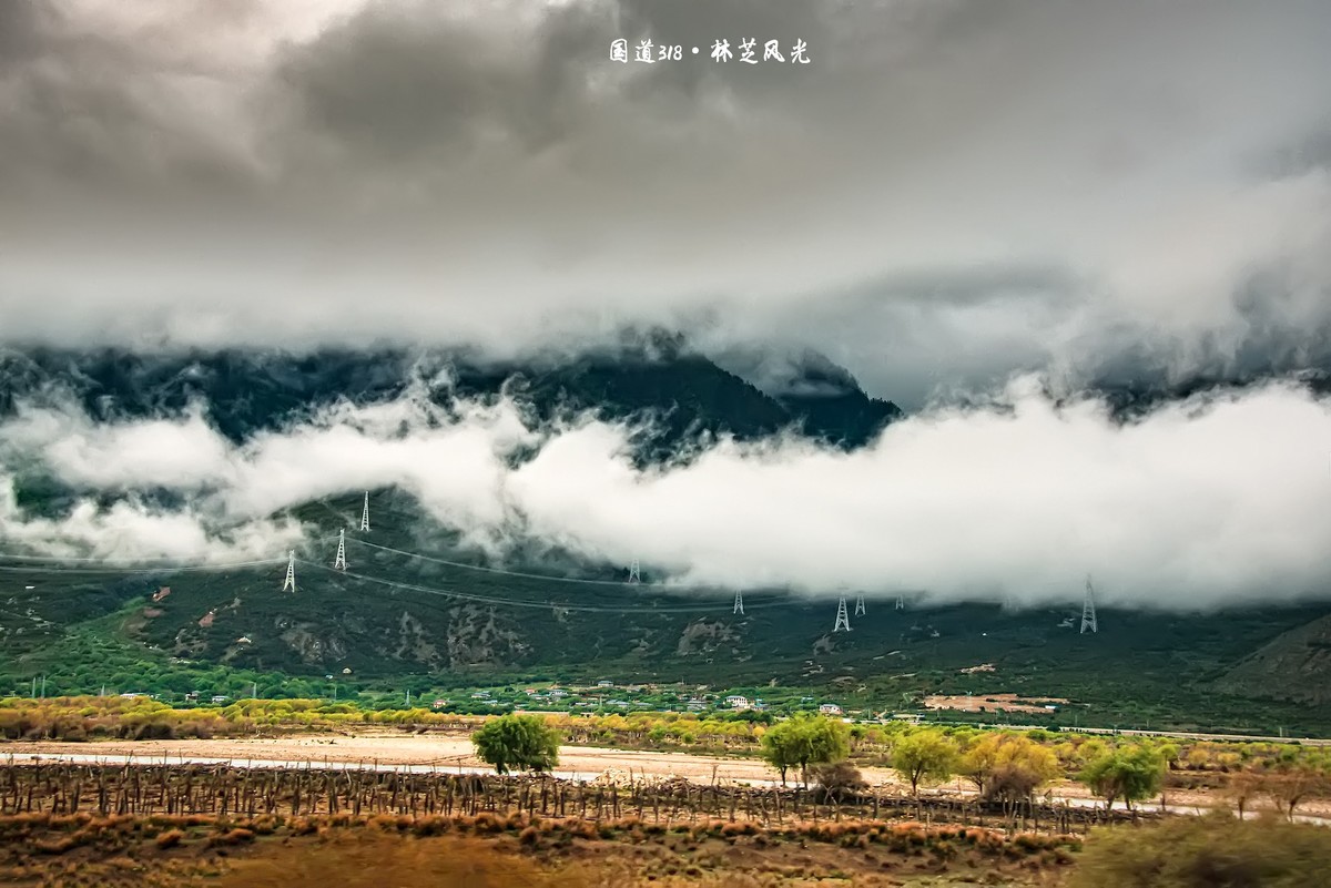 国道三一八 · 林芝尼洋曲畔