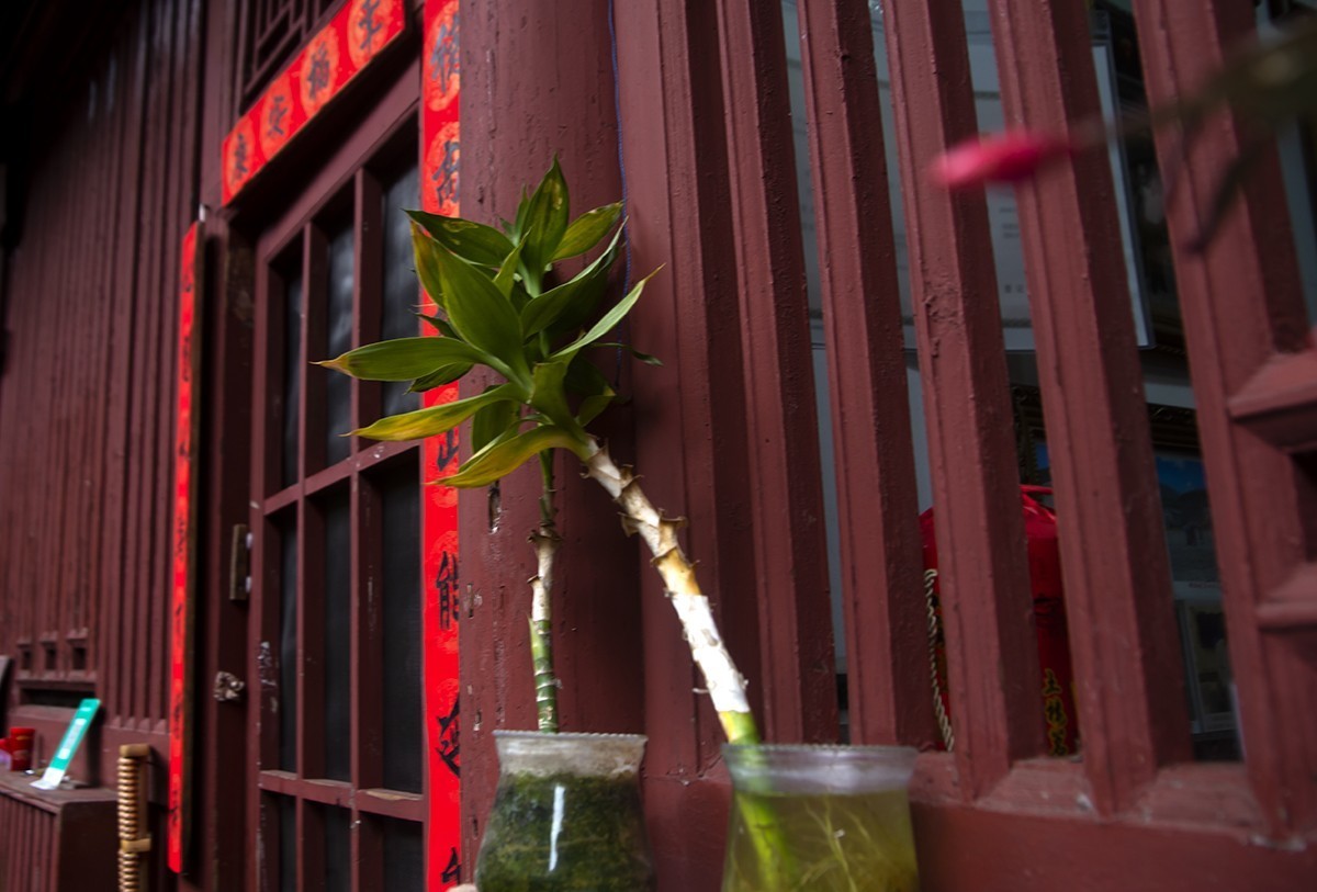 春拂土楼，红灯笑语喧！