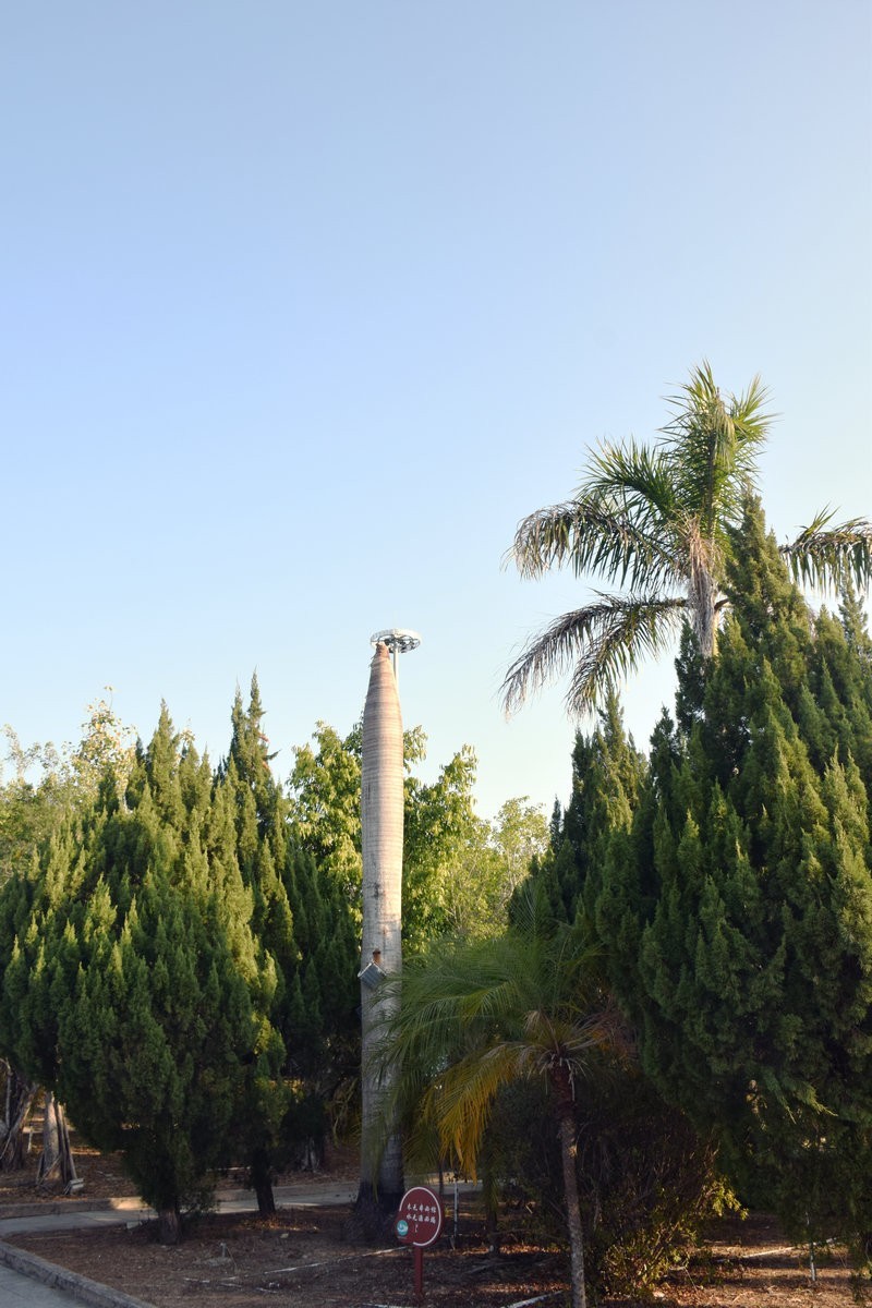 2025春节 广东行（73）凤山祖庙