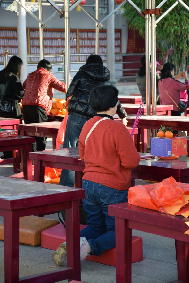 2025春节 广东行（73）凤山祖庙