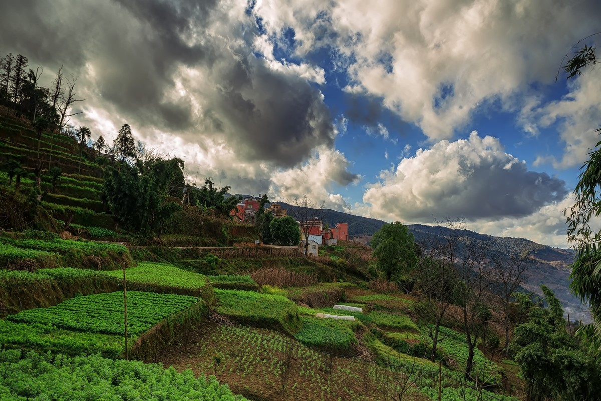 云南元江羊街云海4