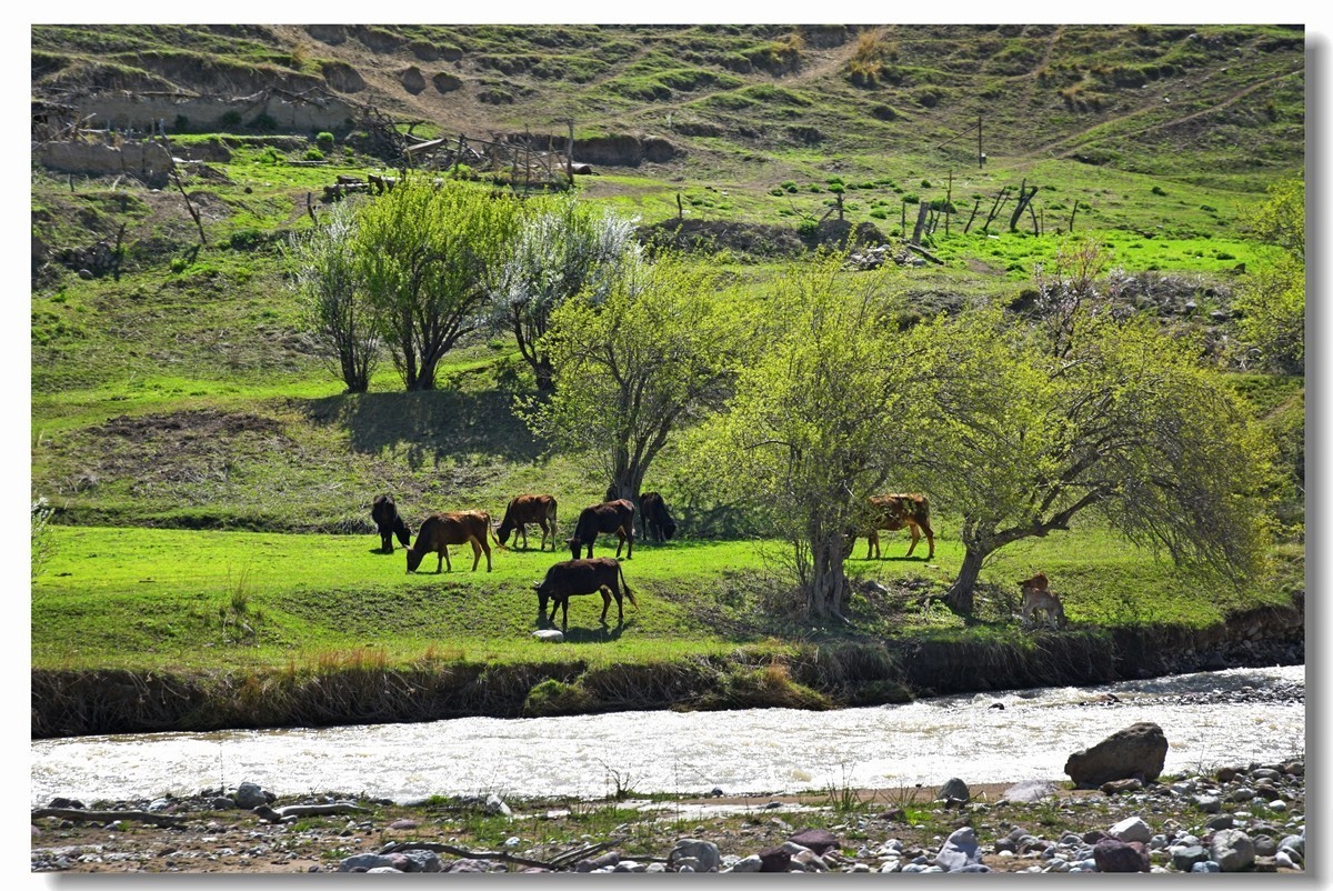 新疆映像--福寿山（二十三）