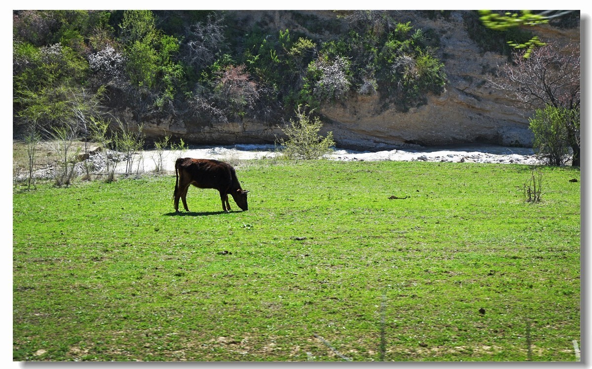 新疆映像--福寿山（二十三）