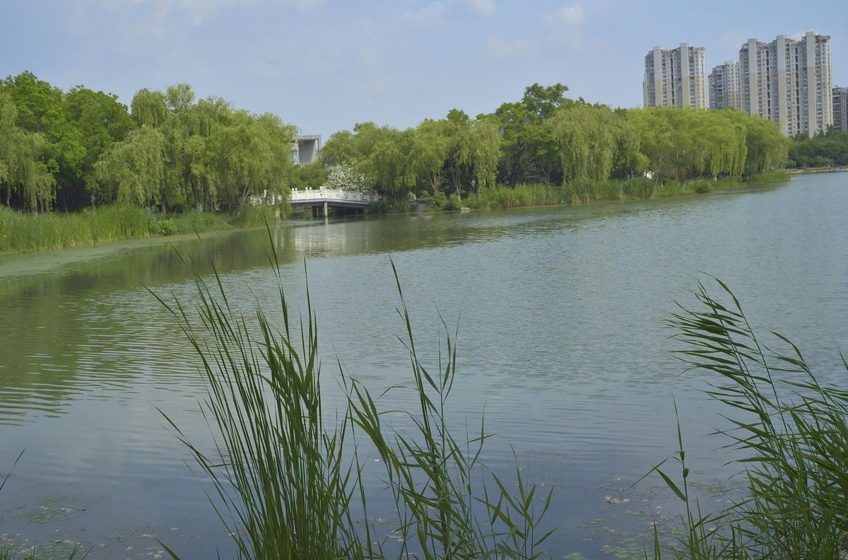 [  海  盐  博  物  馆  ]