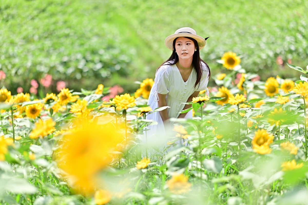 追逐阳光的季节