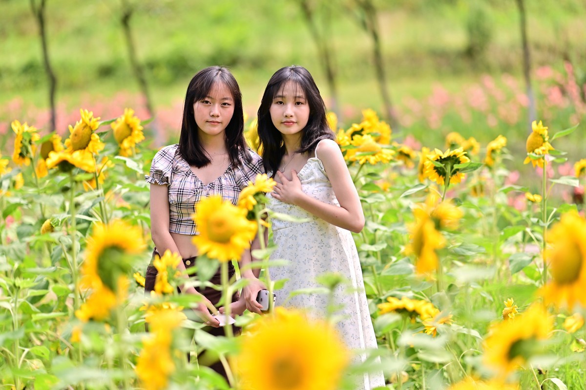 追逐阳光的季节
