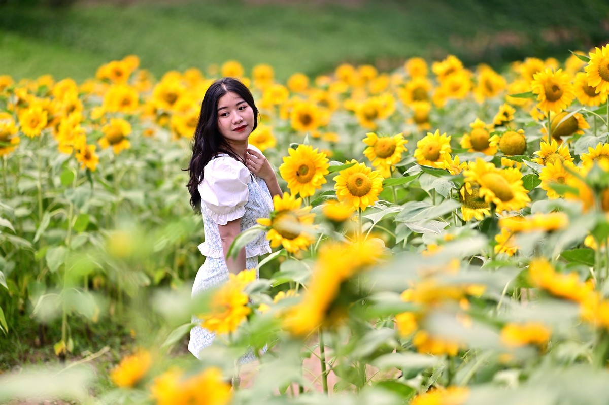 追逐阳光的季节