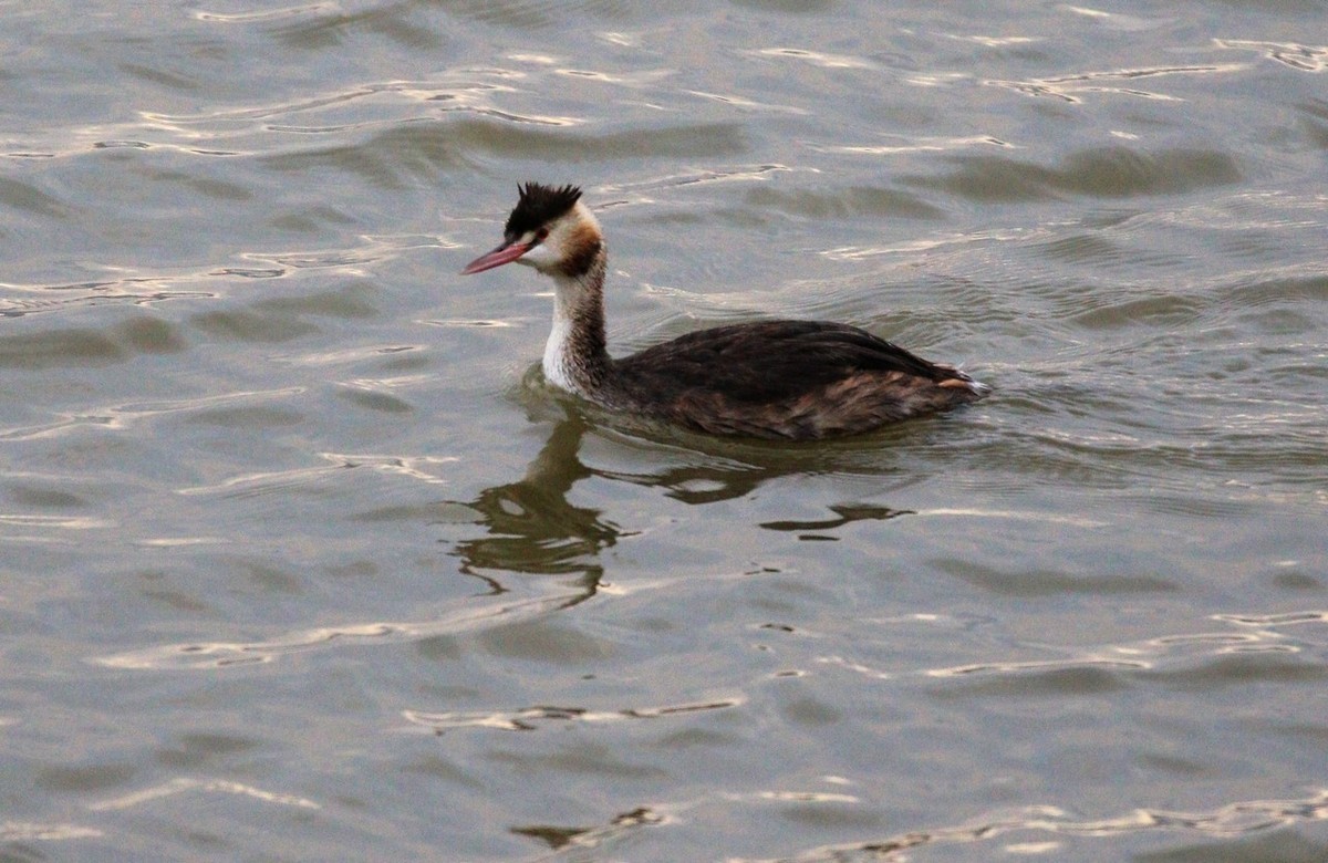 刚才随拍了几张